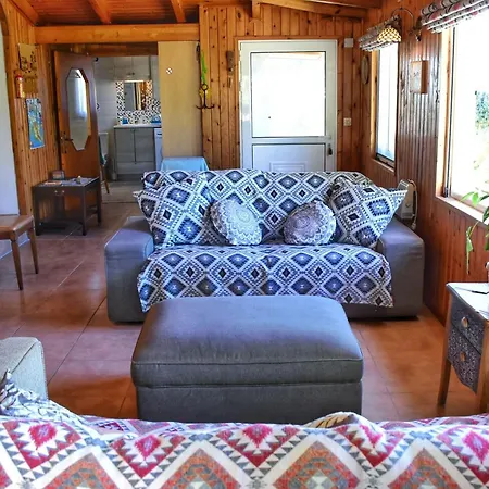 Pear Tree ליקסורי