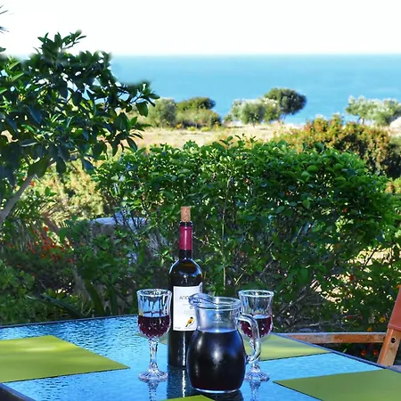 Pear Tree * ליקסורי