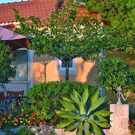 Apartment Pear Tree Lixouri