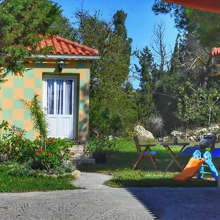 Pear Tree ליקסורי